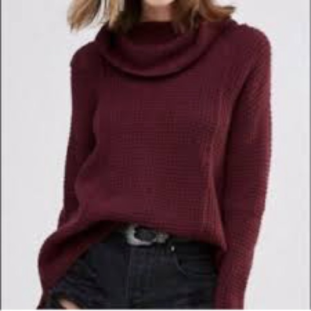 Women's Grape Cotton turtleneck Sweater